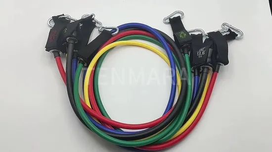 Customizable Resistance Bands with Carry Bag and Custom Logo